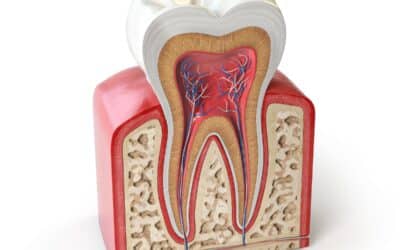 What’s New In Root Canal Care? Here’s What You Need To Know